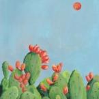 Due Dune - Rosato 2024 (750)