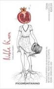 Ficomontanino - Noble Kara IGT Rosato di Toscana (Low Sulfites) 2024 (750)